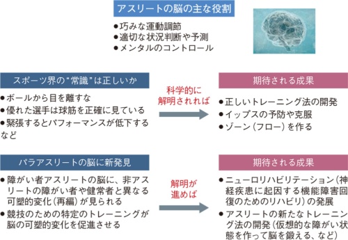 脳の再編が様々な分野に応用できることを説明している